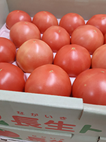 長生とまと写真